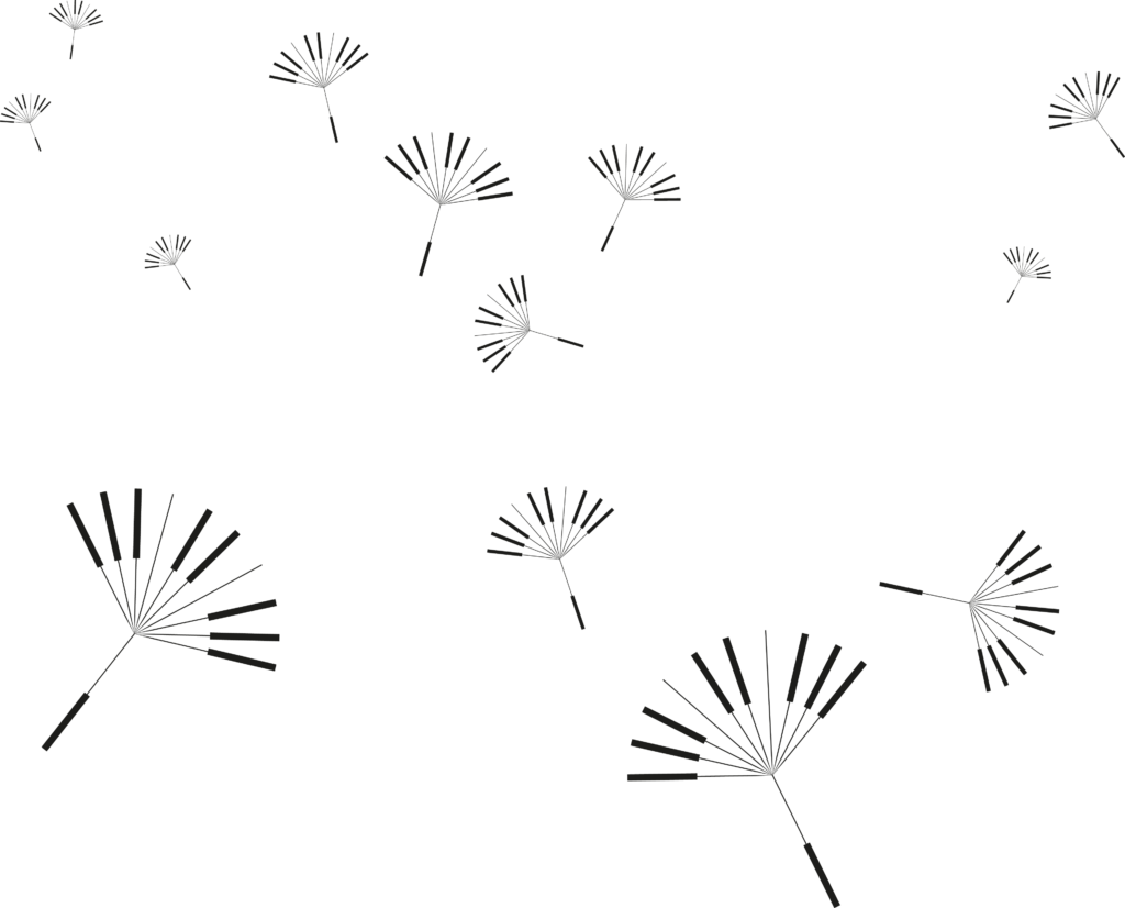 Schwarz-weiße Linienzeichnung von verstreuten Pusteblumen-Samen, die wie Klaviertasten aussehen